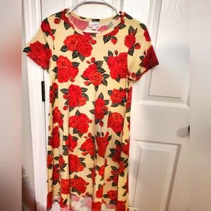 Lularoe Carly dress